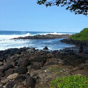 Meet your Posher, Jo